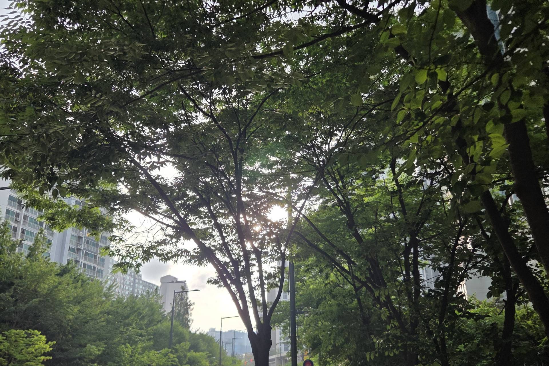 작업실 사진 1