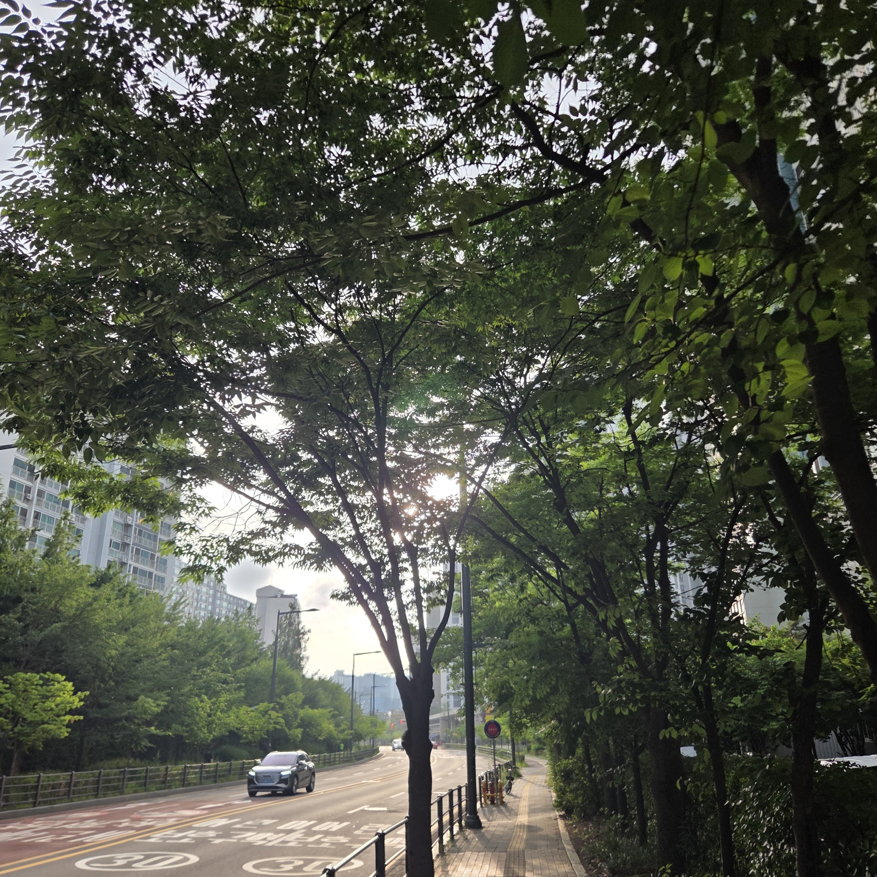 섬세한블루베리021 선생님