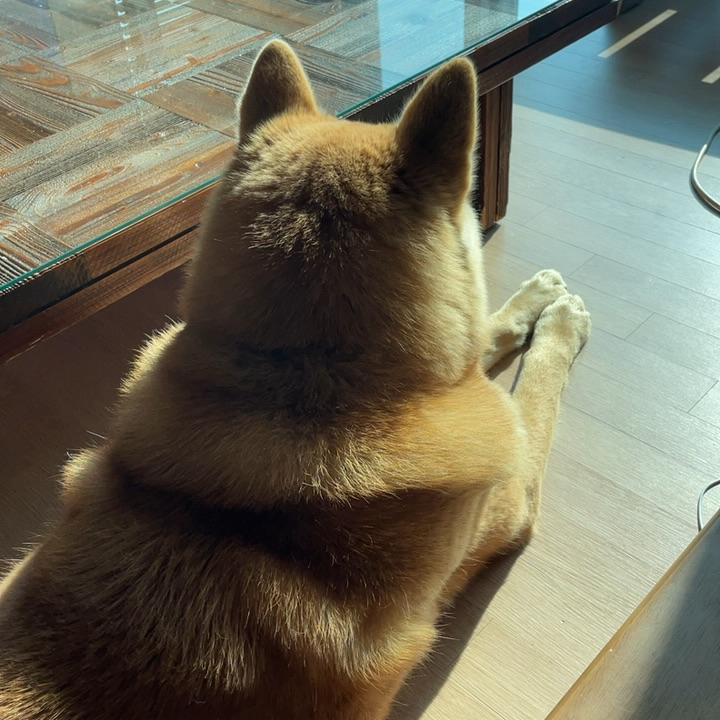 동동이누나 선생님